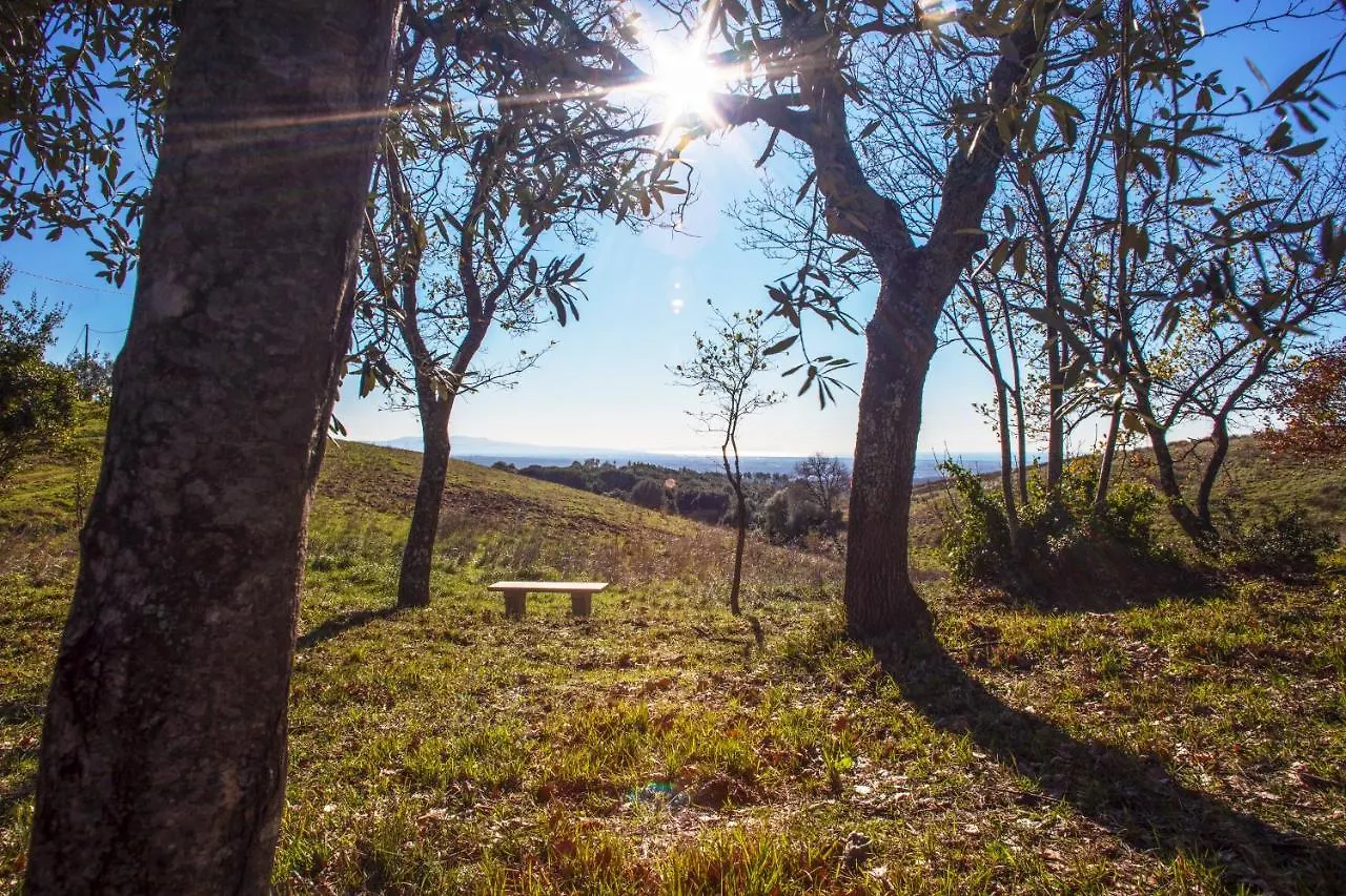 Luxury tent Glamping Debbiare Hotel Riparbella